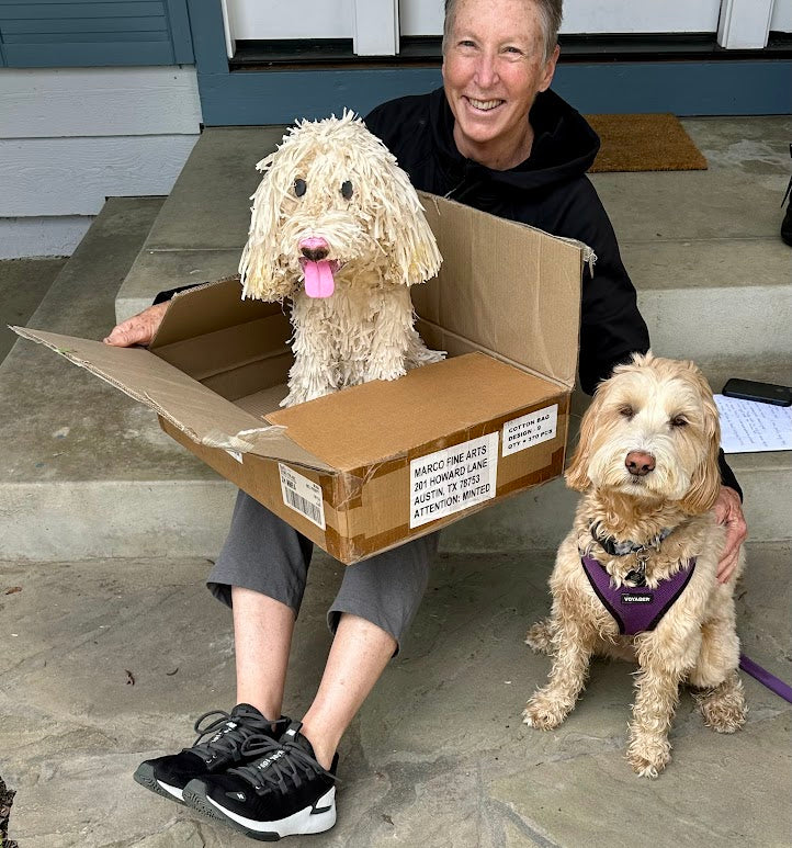 Pet Box