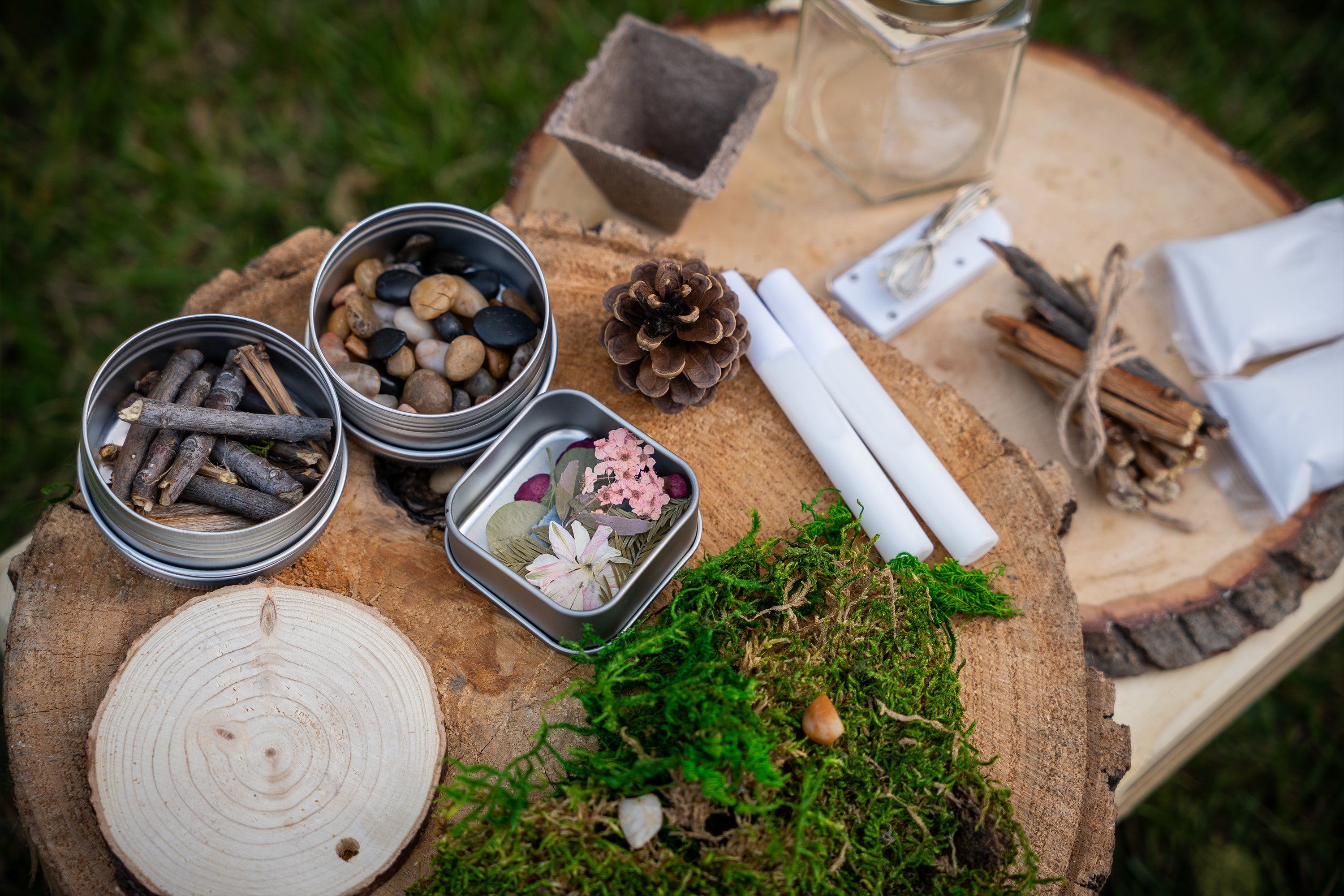 Foraged Faerie House Kit