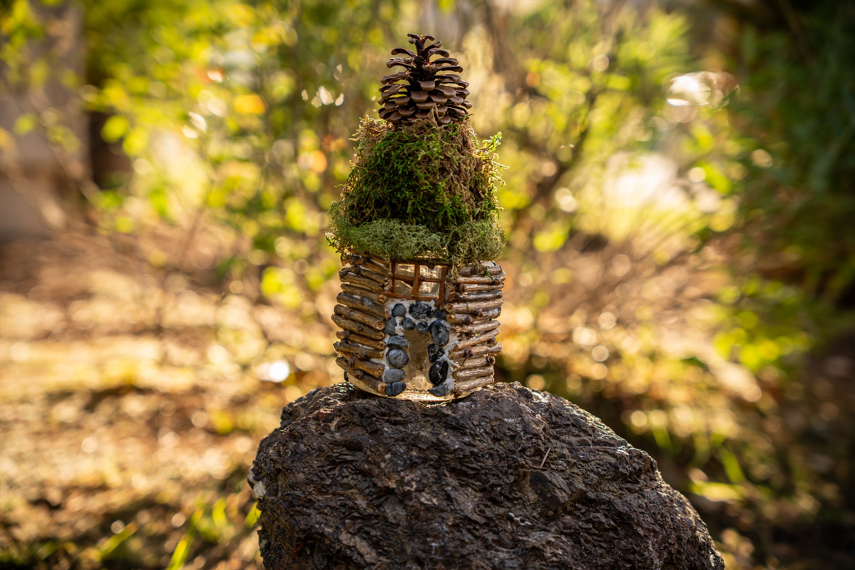 Foraged Faerie House Kit