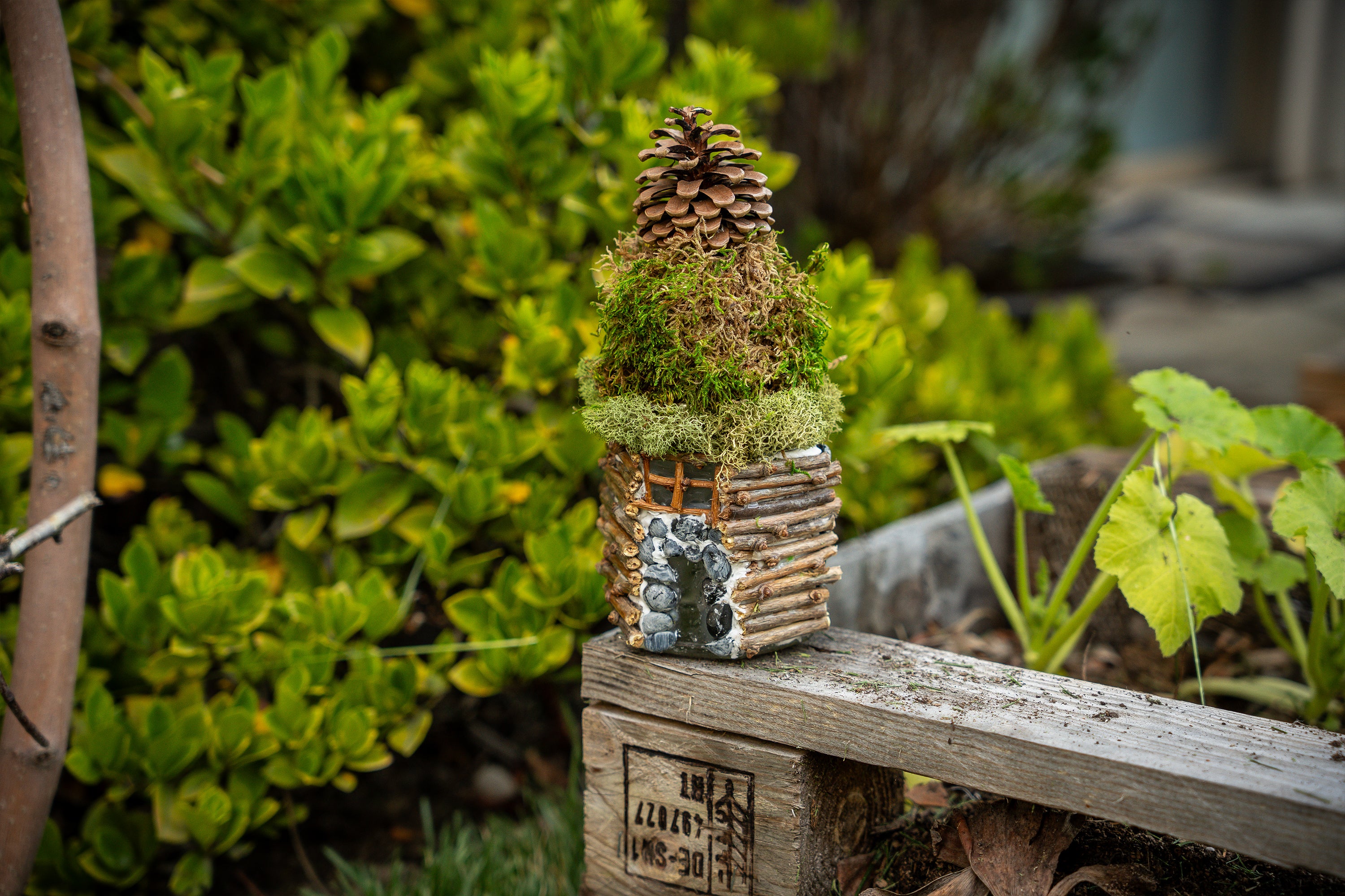 Foraged Faerie House Kit