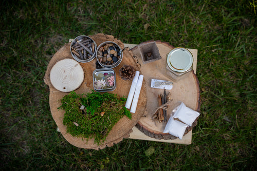 Foraged Faerie House Kit