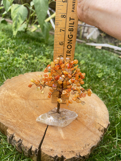 "Clementine" Sassafras tree with quartzite chip beads,