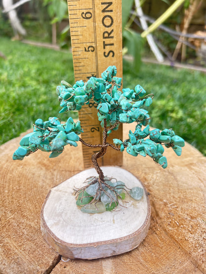 "Felix" Bonsai tree with turquoise howlite chip beads